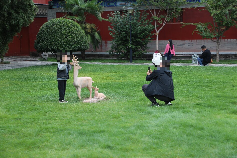 不文明行为（四）